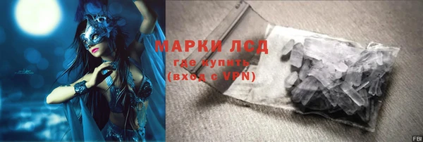 стафф Корсаков
