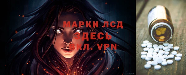 стафф Корсаков