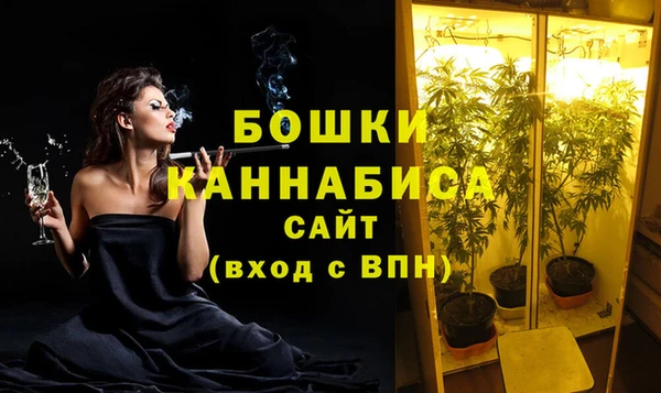 стафф Корсаков
