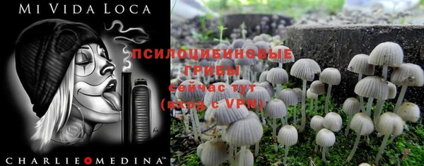 дурь Коряжма