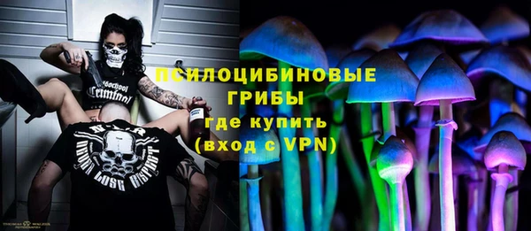 дурь Коряжма