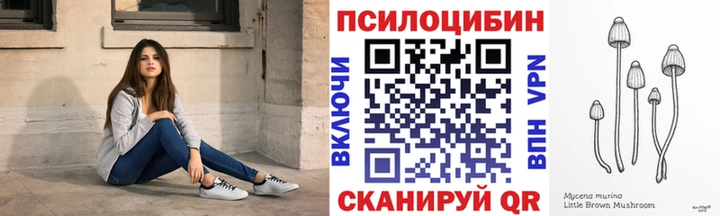 Купить где  Новоржев  Галлюциногенные грибы Psilocybine cubensis 