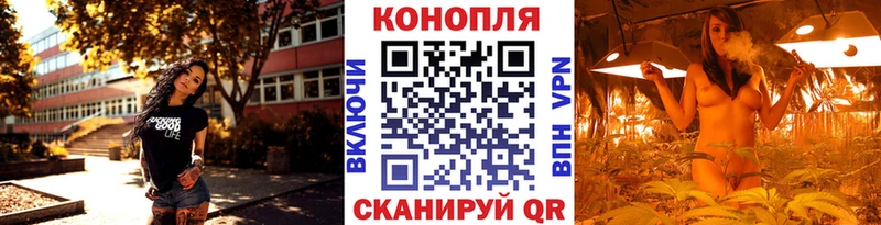 Шишки марихуана Bruce Banner  Купить закладки  Новоржев 